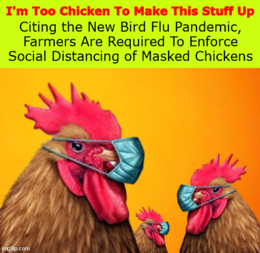 I'm Too Chicken To Make This Stuff Up | image tagged in pandemic,chickens,chicken,face mask,social distancing,memes | made w/ Imgflip meme maker