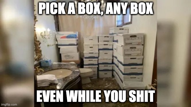 Pick a box any box even while you shit | PICK A BOX, ANY BOX; EVEN WHILE YOU SHIT | image tagged in pick a box any box even while you shit | made w/ Imgflip meme maker