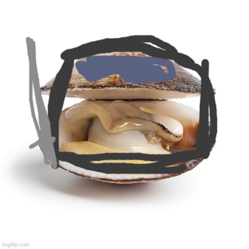 clam | image tagged in clam | made w/ Imgflip meme maker