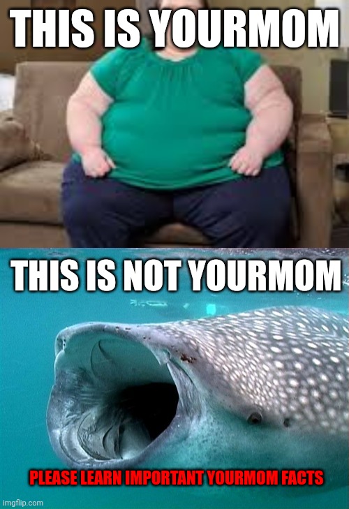 Important facts | THIS IS YOURMOM; THIS IS NOT YOURMOM; PLEASE LEARN IMPORTANT YOURMOM FACTS | image tagged in whale shark,your mom,facts | made w/ Imgflip meme maker