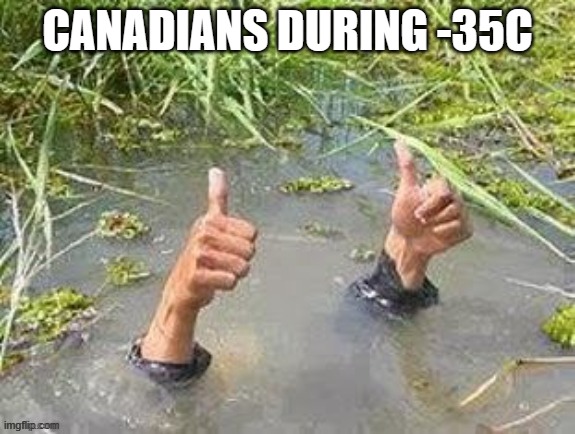 This is fine. No problem. | CANADIANS DURING -35C | image tagged in this is fine no problem | made w/ Imgflip meme maker