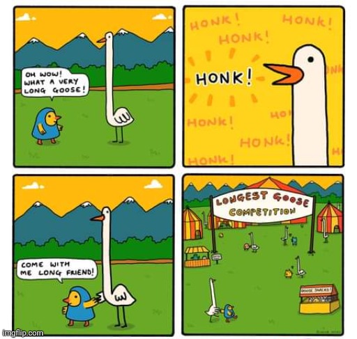 Longest goose competition | image tagged in longest,goose,competition,honk,comics,comics/cartoons | made w/ Imgflip meme maker