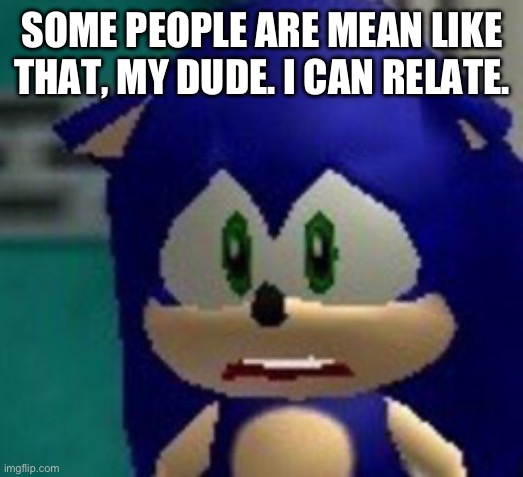 Sonic sad face | SOME PEOPLE ARE MEAN LIKE THAT, MY DUDE. I CAN RELATE. | image tagged in sonic sad face | made w/ Imgflip meme maker