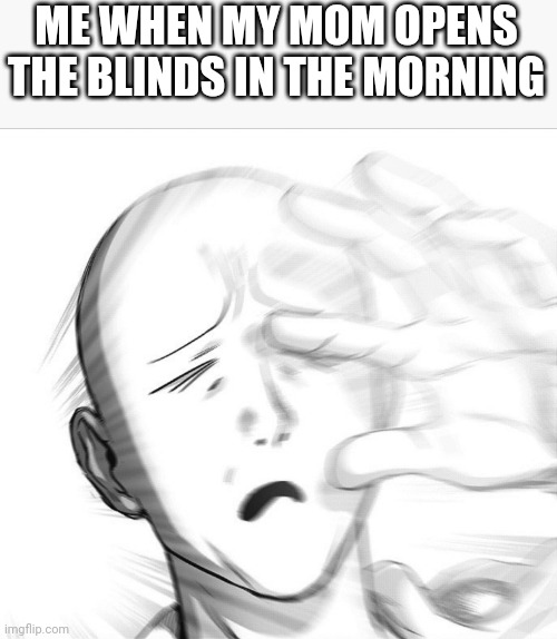 Blindness | ME WHEN MY MOM OPENS THE BLINDS IN THE MORNING | image tagged in saitama - one punch man anime | made w/ Imgflip meme maker
