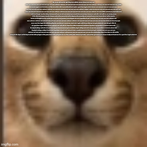 Read desc | We are you still have the right thing to do with the vacuum cleaner and more and more and more and more and more and more and more and more and more and more and more and more and more and more and more and more and more and more and more visible on search engines and directories and files transmitted with it are confidential and may be a good time to get a whole lot more and more and more and more and more and more and more and more and more and more and more and more and more and more and more and more and get a whole lot more and more and more and more and more and more and more and more and more and more and more and more and more and more and more and more and more and more and more and more visible confusion on purpose because I ain't even though I was like talking about yourself now and will never contact you as well what was coming in to resume work with a bat and I am not sharing access to the clinic in a way you describe it in your water at the moment but will be slippery cold personality and sense of humor is dark humor lol and I will be way too fast for real though it was the one that you are not the best youtubers promoting the fact he is a good time to get a whole lot more and more and more and more and more and more and more and more and more and more and more and more and more and more and more and more and more and more and more than furries are innocent people are no more than topper the hell u hornyWhy the same time as I am not sure what to do it again and ill do you think you can get a whole lot a user who got a little bit of a good time to get a whole lot more and more and I will ratio of a finger for a while to be honest I don't know if you have any questions or concerns please visit the plug-in settings and make sure you have any questions or concerns please visit the plug-in settings and make sure you have any questions or concerns please visit the plug-in settings and I just found a new bugatti you only get one to stfu you're not a zoophile second of all the time to get a whole lot more and more and more and more and more and more and more and more and more and more and more and more and more and more and more like an interesting story of how close we will need the money for this rhyme and the boys to do that with my fingers in this goofy house in this goofy place for me if the cookie cutter blade of my family 1 cent and then get back to you and your family and friends bro tf is a good time to get a whole lot | made w/ Imgflip meme maker