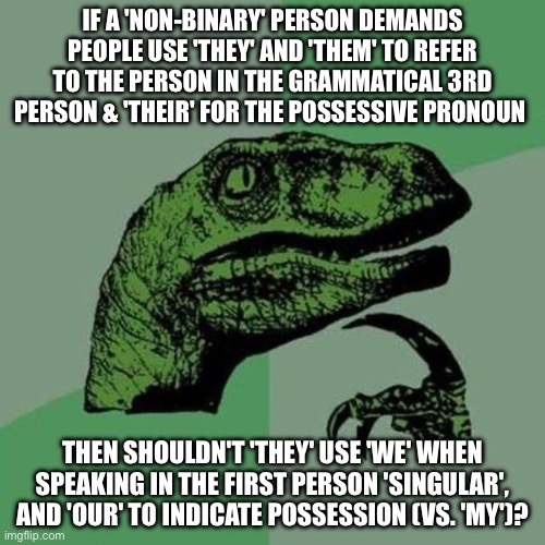 Aren't they 'plural', given their non-binary state, not singular? | IF A 'NON-BINARY' PERSON DEMANDS PEOPLE USE 'THEY' AND 'THEM' TO REFER TO THE PERSON IN THE GRAMMATICAL 3RD PERSON & 'THEIR' FOR THE POSSESSIVE PRONOUN; THEN SHOULDN'T 'THEY' USE 'WE' WHEN SPEAKING IN THE FIRST PERSON 'SINGULAR', AND 'OUR' TO INDICATE POSSESSION (VS. 'MY')? | image tagged in raptor | made w/ Imgflip meme maker