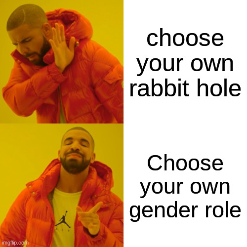 gender roles | choose your own rabbit hole; Choose your own gender role | image tagged in memes,drake hotline bling | made w/ Imgflip meme maker