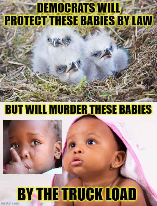 Abortion | DEMOCRATS WILL PROTECT THESE BABIES BY LAW; BUT WILL MURDER THESE BABIES; BY THE TRUCK LOAD | image tagged in abortion | made w/ Imgflip meme maker