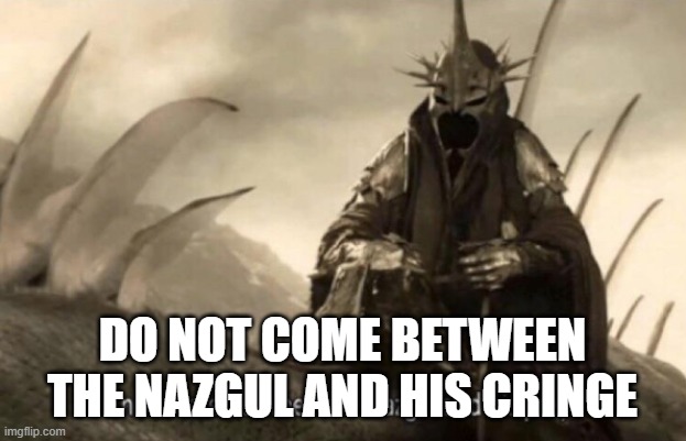 Do not come between the nazgul and his cringe | DO NOT COME BETWEEN THE NAZGUL AND HIS CRINGE | image tagged in nazgul threat | made w/ Imgflip meme maker