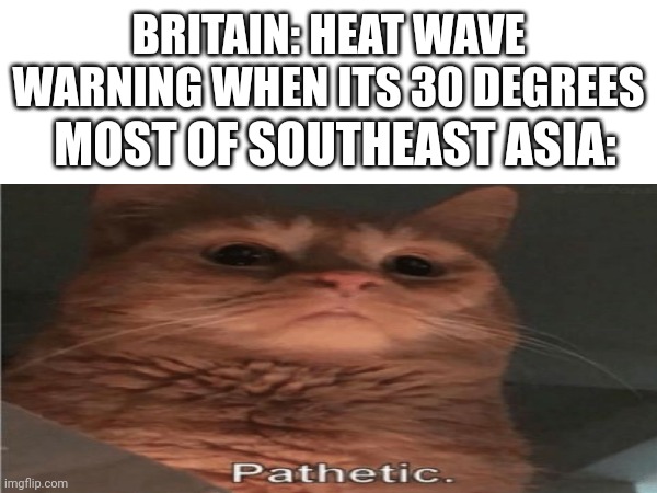 P A T H E T I C | BRITAIN: HEAT WAVE WARNING WHEN ITS 30 DEGREES; MOST OF SOUTHEAST ASIA: | image tagged in skinner pathetic,pathetic,pathetic cat,memes,funny | made w/ Imgflip meme maker