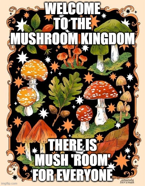 There is Mush 'Room' for Everyone | WELCOME TO THE MUSHROOM KINGDOM; THERE IS MUSH 'ROOM' FOR EVERYONE | image tagged in mushroom,inclusion,together,everyone | made w/ Imgflip meme maker