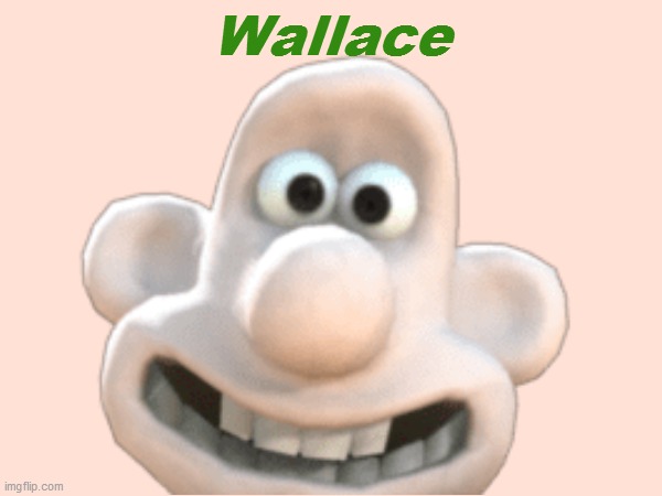 High Quality Wallace Blank Meme Template