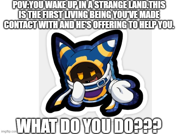What would YOU do? | POV:YOU WAKE UP IN A STRANGE LAND.THIS IS THE FIRST LIVING BEING YOU'VE MADE CONTACT WITH AND HE'S OFFERING TO HELP YOU. WHAT DO YOU DO??? | image tagged in pov,magolor,rp | made w/ Imgflip meme maker