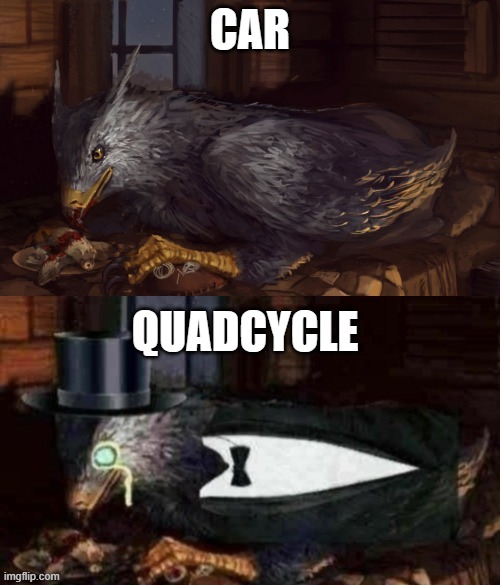 So true | CAR; QUADCYCLE | image tagged in tuxedo buckbeak,memes,funny,cars,true,quadcycle | made w/ Imgflip meme maker