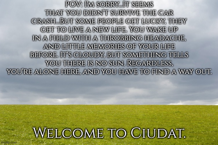 Empty Field | POV: I'm sorry...It seems that you didn't survive the car crash...But some people get lucky, they get to live a new life. You wake up in a field with a throbbing headache, and little memories of your life before. It's cloudy, but something tells you there is no sun. Regardless, you're alone here, and you have to find a way out. Welcome to Ciudat. | image tagged in empty field | made w/ Imgflip meme maker