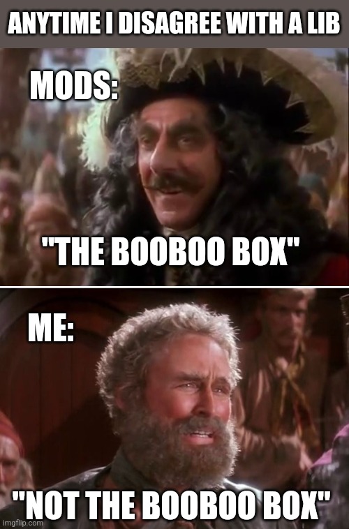 ANYTIME I DISAGREE WITH A LIB; MODS:; "THE BOOBOO BOX"; ME:; "NOT THE BOOBOO BOX" | image tagged in funny memes | made w/ Imgflip meme maker