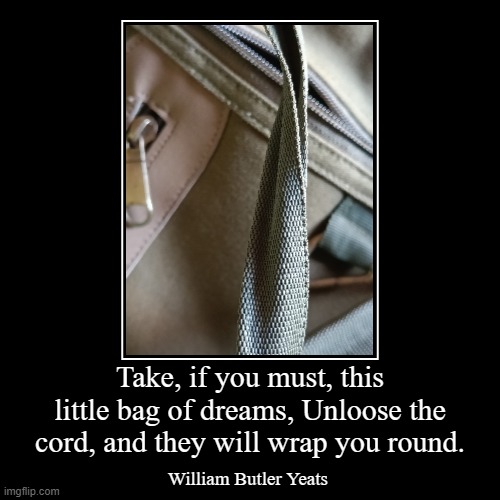 Take, if you must, this little bag of dreams, Unloose the cord, and they will wrap you round. | William Butler Yeats | image tagged in inspirational quote,quotes,quote | made w/ Imgflip demotivational maker