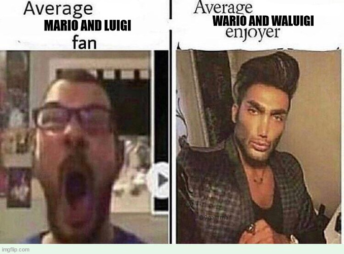 Average *BLANK* Fan VS Average *BLANK* Enjoyer | WARIO AND WALUIGI; MARIO AND LUIGI | image tagged in average blank fan vs average blank enjoyer | made w/ Imgflip meme maker