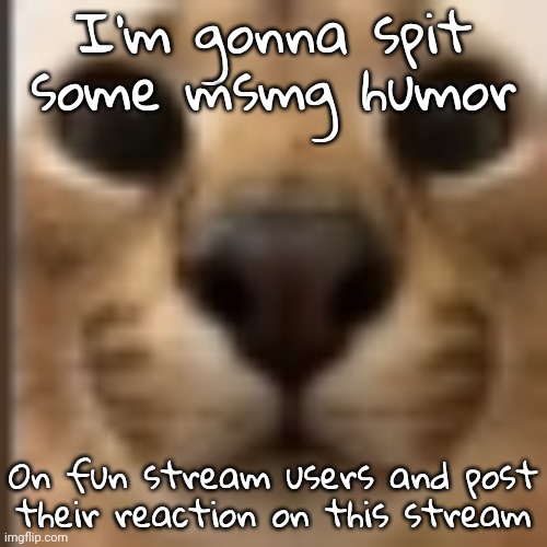 Whar | I'm gonna spit some msmg humor; On fun stream users and post their reaction on this stream | image tagged in whar | made w/ Imgflip meme maker