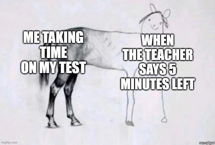 Horse Drawing | ME TAKING TIME ON MY TEST; WHEN THE TEACHER SAYS 5 MINUTES LEFT | image tagged in horse drawing | made w/ Imgflip meme maker