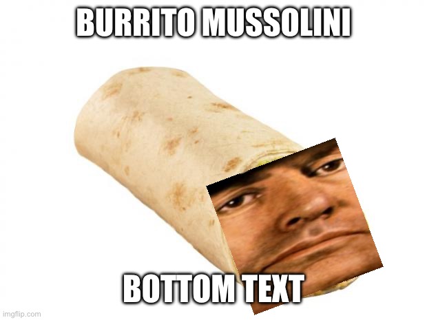 Burrito Mussolini | BURRITO MUSSOLINI; BOTTOM TEXT | image tagged in burrito | made w/ Imgflip meme maker