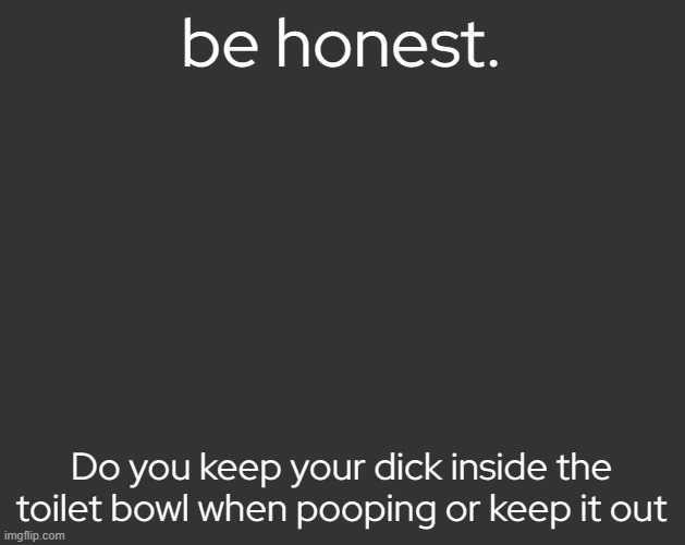 Grey Square (fr) | be honest. Do you keep your dick inside the toilet bowl when pooping or keep it out | image tagged in grey square fr | made w/ Imgflip meme maker