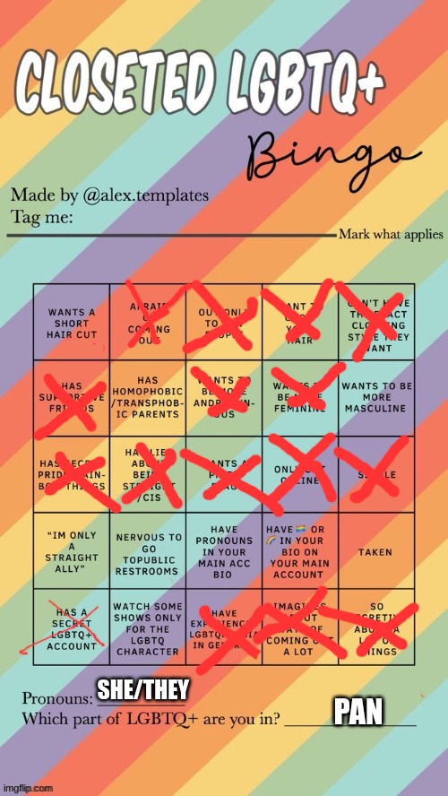 Hi | SHE/THEY; PAN | image tagged in closeted lgbtq bingo | made w/ Imgflip meme maker