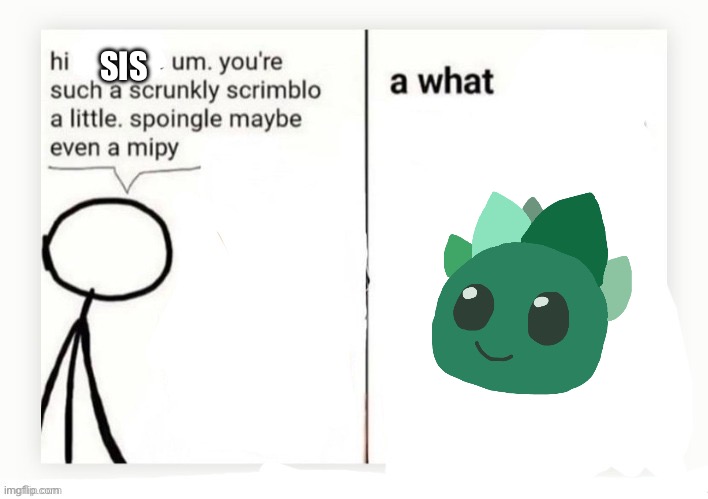 Hi um you're such a skrunkly | SIS | image tagged in hi um you're such a skrunkly | made w/ Imgflip meme maker