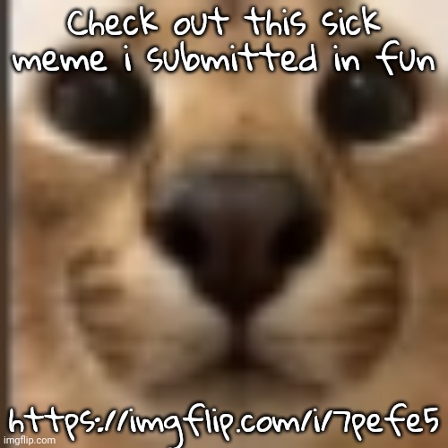 Whar | Check out this sick meme i submitted in fun; https://imgflip.com/i/7pefe5 | image tagged in whar | made w/ Imgflip meme maker