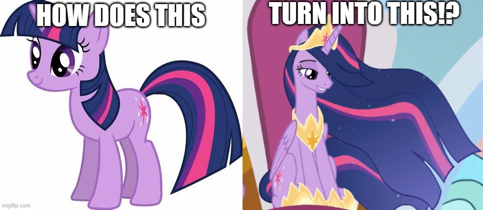 how does this turn into this!? | TURN INTO THIS!? HOW DOES THIS | image tagged in twilight sparkle,mlp,mlp fim | made w/ Imgflip meme maker