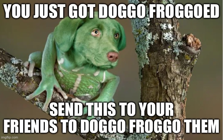 YOU JUST GOT DOGGO FROGGOED; SEND THIS TO YOUR FRIENDS TO DOGGO FROGGO THEM | made w/ Imgflip meme maker