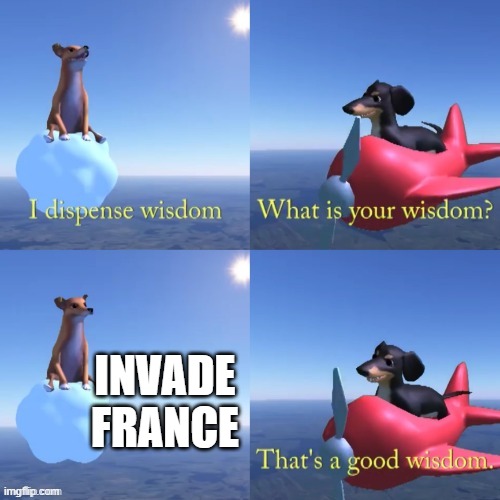 The dog of wisdom | INVADE FRANCE | image tagged in the dog of wisdom | made w/ Imgflip meme maker
