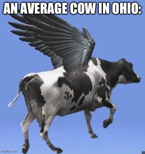 AN AVERAGE COW IN OHIO: | made w/ Imgflip meme maker