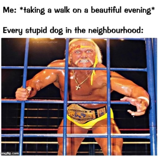 Deadly Mankillers | image tagged in dangerous mutts,dogs,memes,animals,pets | made w/ Imgflip meme maker