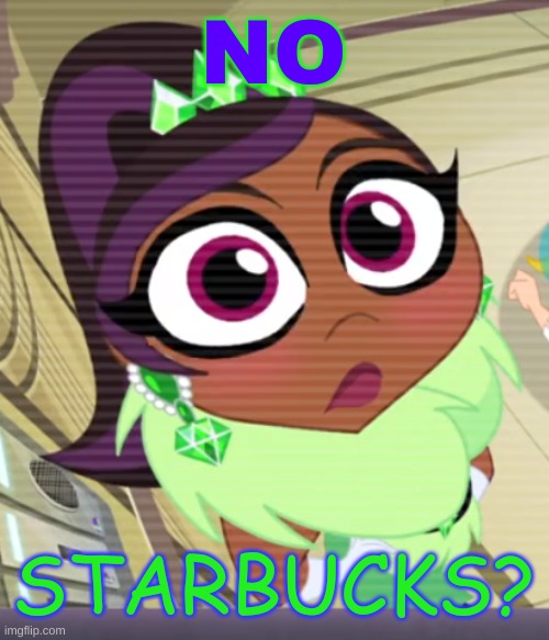 No Starbucks? | NO; STARBUCKS? | image tagged in dc superhero girls no b ches | made w/ Imgflip meme maker