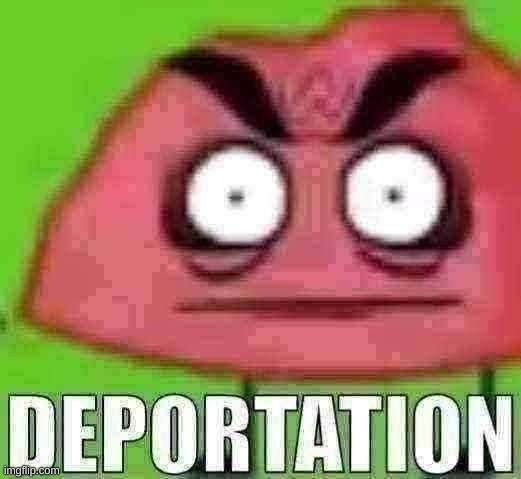 haha, yes | image tagged in deportation | made w/ Imgflip meme maker