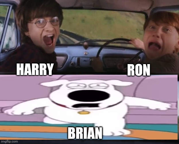 Brian Chasing Harry And Ron Weasly | RON; HARRY; BRIAN | image tagged in tom chasing harry and ron weasly | made w/ Imgflip meme maker