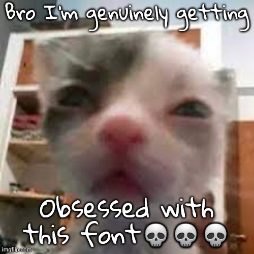 Cat lightskin stare | Bro I'm genuinely getting; Obsessed with this font💀💀💀 | image tagged in cat lightskin stare | made w/ Imgflip meme maker