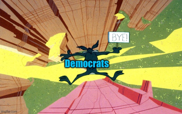 Wile E Coyote falling off of cliff | Democrats | image tagged in wile e coyote falling off of cliff | made w/ Imgflip meme maker