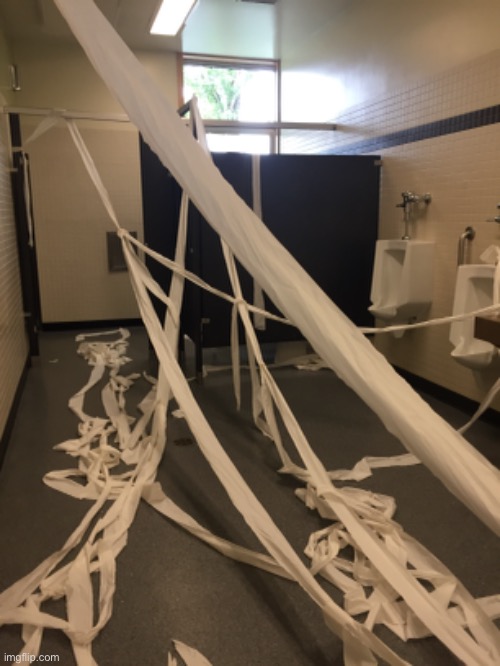 This was in the bathroom at my school | image tagged in toilet paper,dive | made w/ Imgflip meme maker
