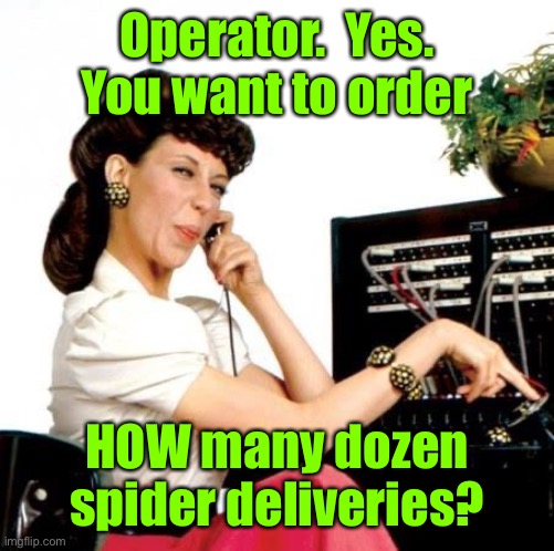 Ernestine Telephone operator | Operator.  Yes.  You want to order HOW many dozen spider deliveries? | image tagged in ernestine telephone operator | made w/ Imgflip meme maker