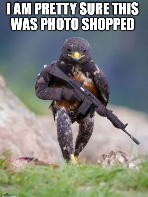 I AM PRETTY SURE THIS 
WAS PHOTO SHOPPED | image tagged in photoshop | made w/ Imgflip meme maker