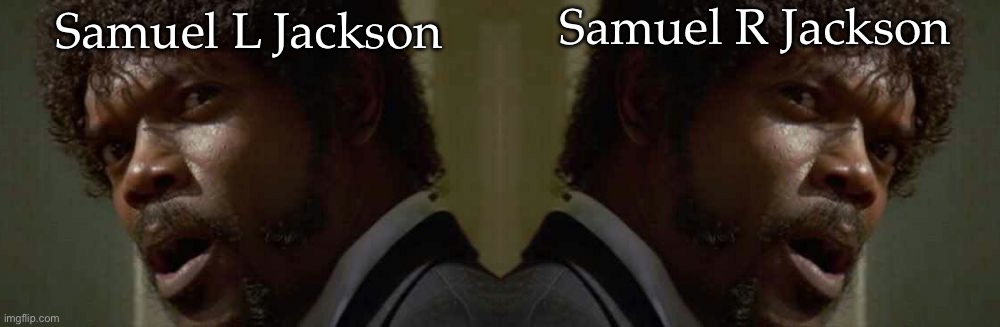 Left Right | Samuel R Jackson; Samuel L Jackson | image tagged in memes,samuel jackson glance,left,right,bad pun | made w/ Imgflip meme maker