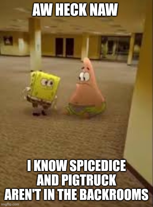 Spongebob and Patrick in the Backrooms | AW HECK NAW; I KNOW SPICEDICE AND PIGTRUCK AREN'T IN THE BACKROOMS | image tagged in spongebob and patrick in the backrooms | made w/ Imgflip meme maker