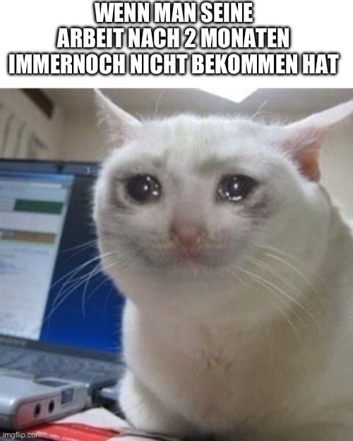 Relatable? | WENN MAN SEINE ARBEIT NACH 2 MONATEN IMMERNOCH NICHT BEKOMMEN HAT | image tagged in crying cat | made w/ Imgflip meme maker