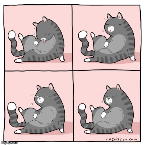 A Cat's Way Of Thinking | image tagged in memes,comics/cartoons,cats,licking,tongue,sleeping | made w/ Imgflip meme maker