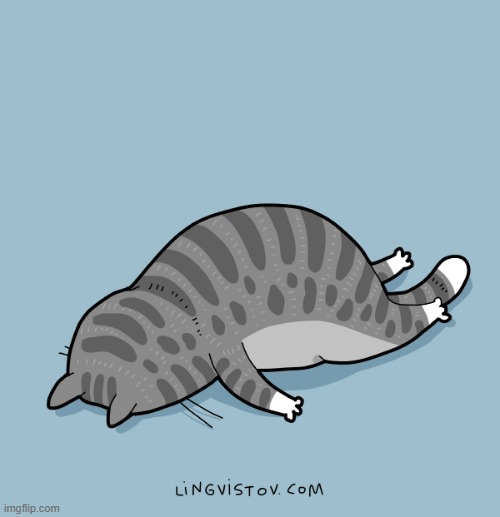 A Cat's Way Of Thinking | image tagged in memes,comics/cartoons,cats,play,so tired,faceplant | made w/ Imgflip meme maker
