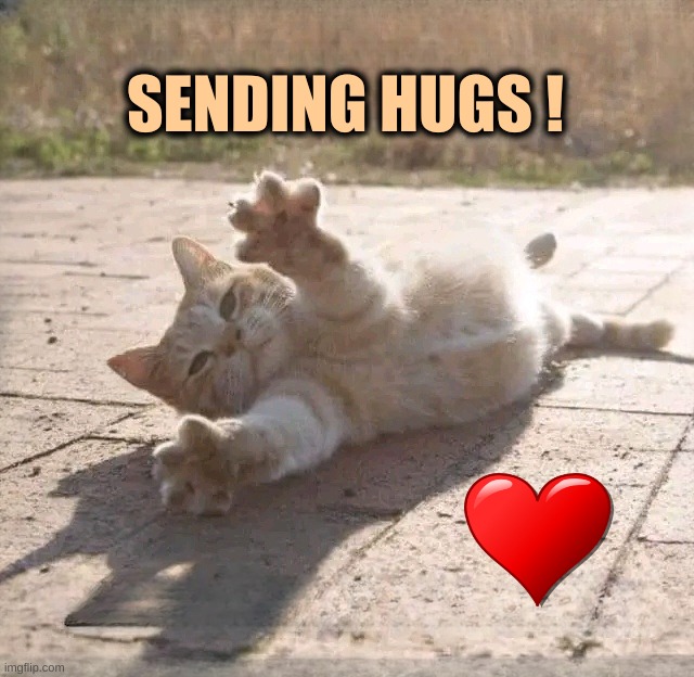 SENDING HUGS ! | image tagged in cats,hugs,love,i love you,what do we want | made w/ Imgflip meme maker