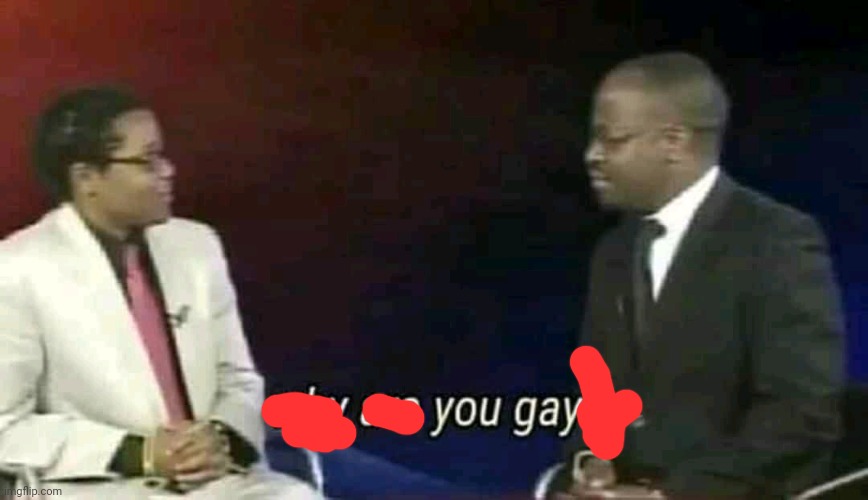 Why are you gay? | image tagged in why are you gay | made w/ Imgflip meme maker