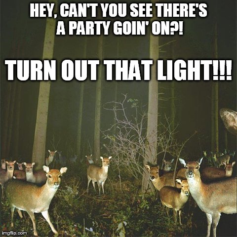 Party over here! | HEY, CAN'T YOU SEE THERE'S A PARTY GOIN' ON?! TURN OUT THAT LIGHT!!! | image tagged in memes,funny,animals,deers | made w/ Imgflip meme maker